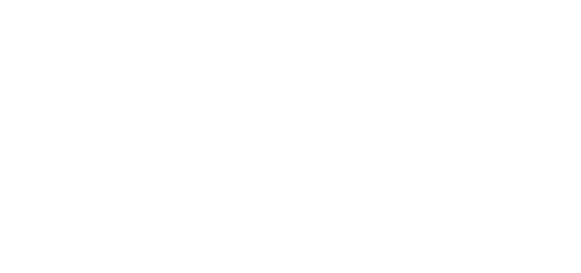 Bear Builders